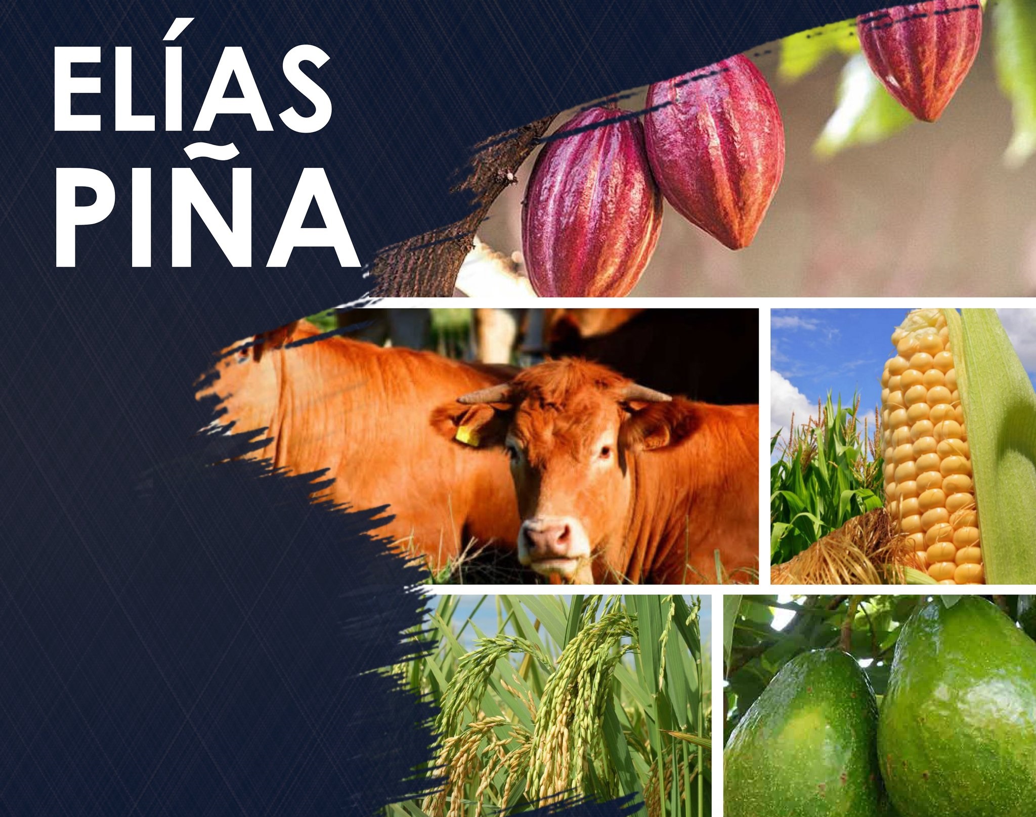 Elías Piña
